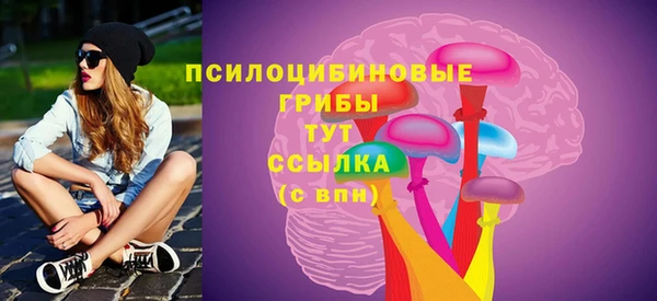 СК Михайловск