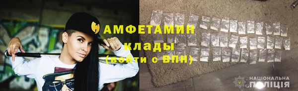 мдпв Михайлов