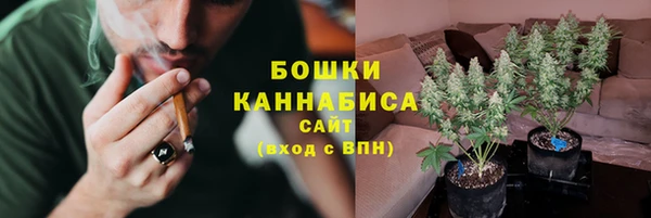 мдпв Михайлов