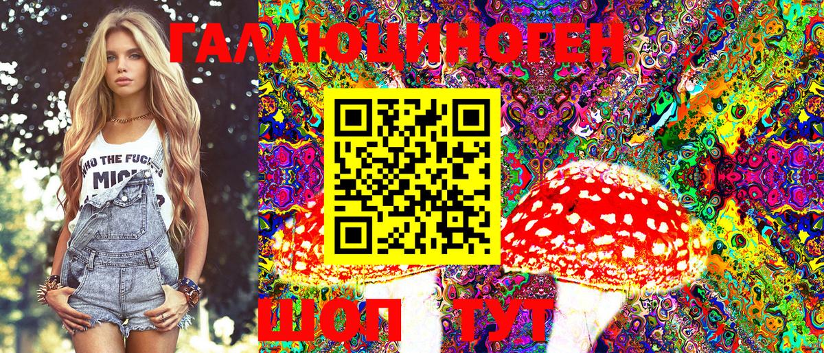 Галлюциногенные грибы GOLDEN TEACHER Анапа
