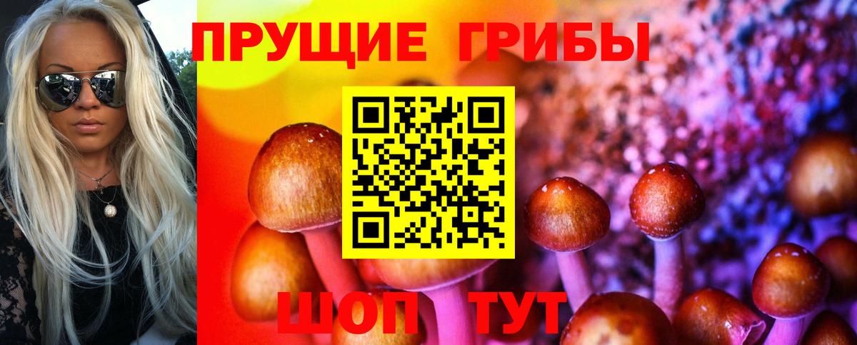 Анапа  Галлюциногенные грибы GOLDEN TEACHER  Вход с VPN  Псилоцибиновые грибы мухоморы 
