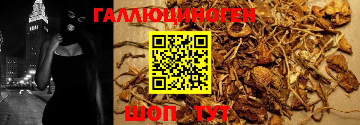 Галлюциногенные грибы мицелий Анапа